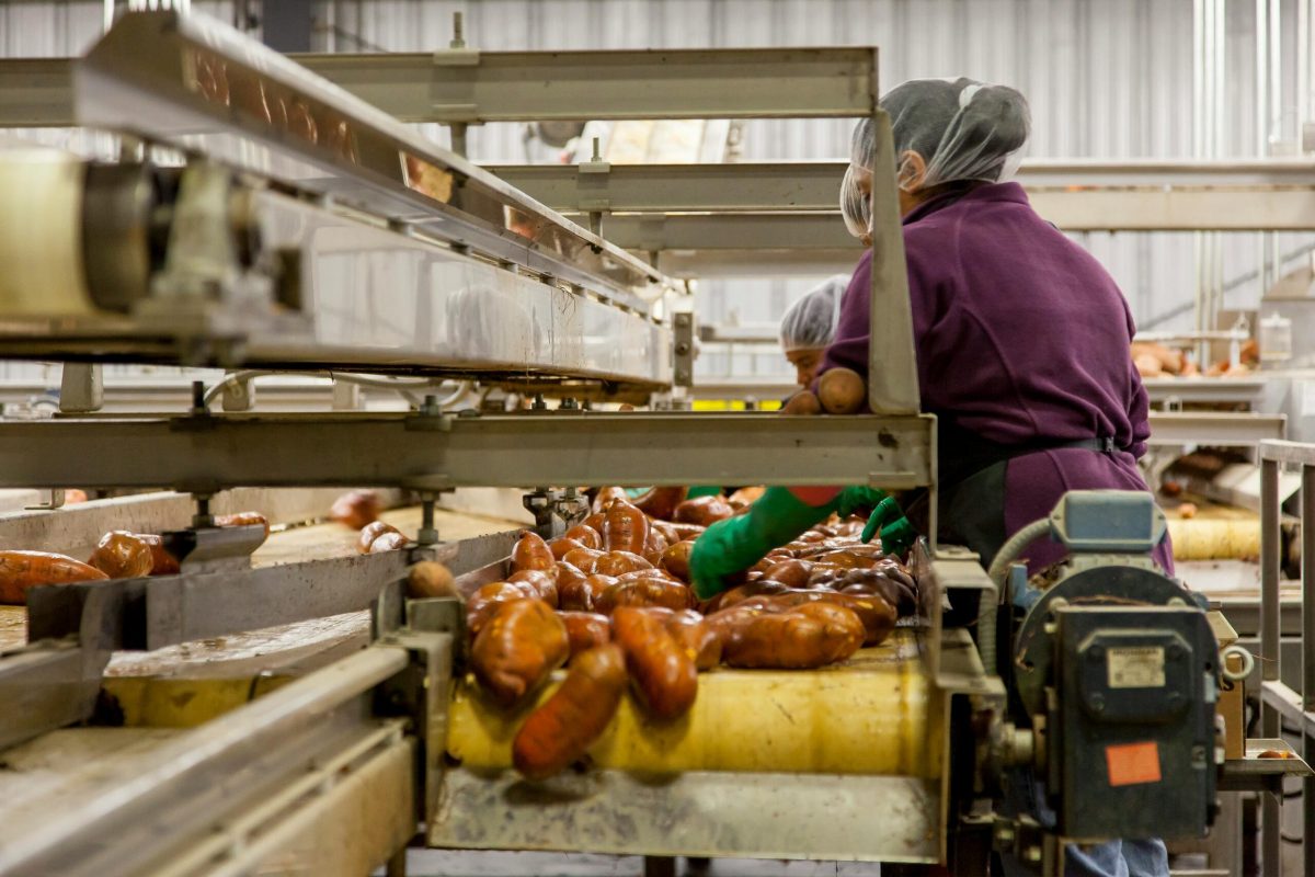 food processing